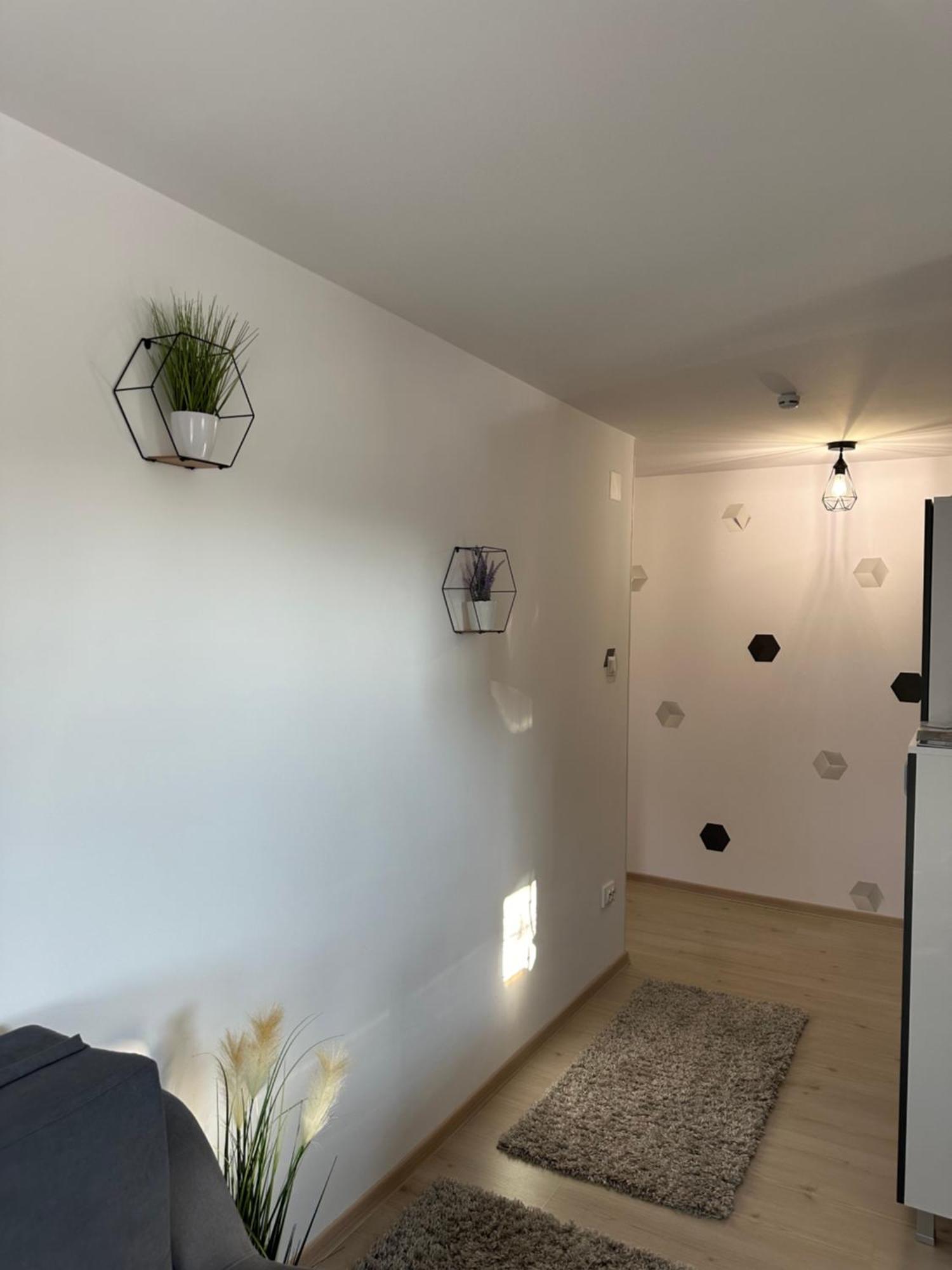 Jokai Apartments Nr7, Code Entry Sfântu-Gheorghe Eksteriør bilde
